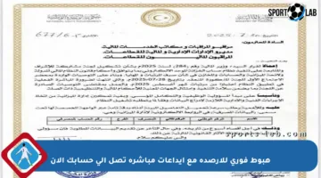 هبوط فوري للأرصدة مع إيداعات مباشرة تصل إلى حسابك الآن